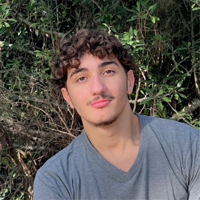 Portrait de Louis Mangin